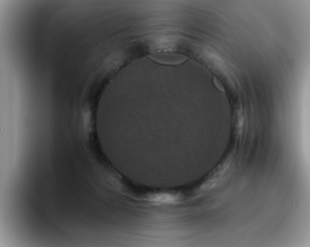 X0000094950224200711291420