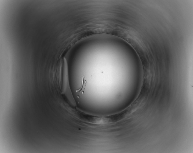 X0000094950226200711291420