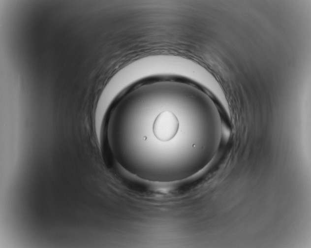 X0000094950229200711291420