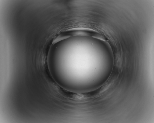 X0000094950230200711291420