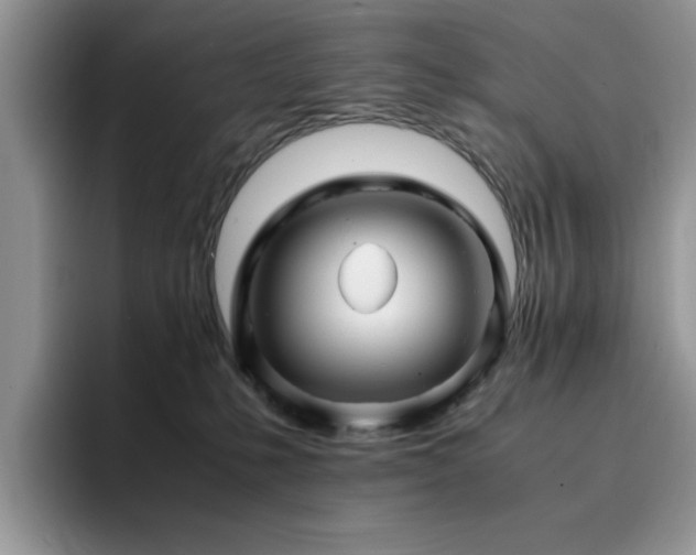 X0000094950231200711291420