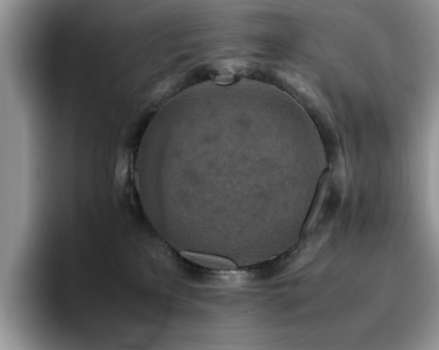 X0000094950233200711291420