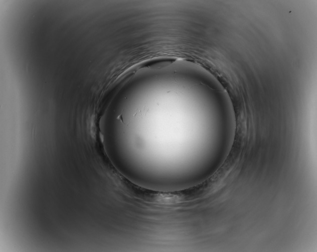 X0000094950234200711291420