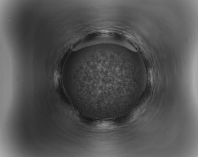 X0000094950235200711291420