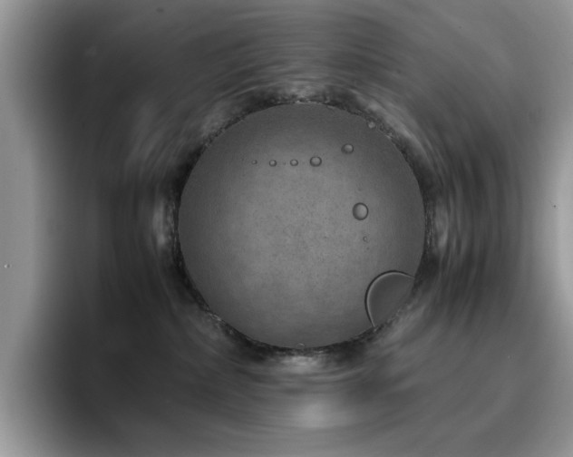 X0000094950236200711291420