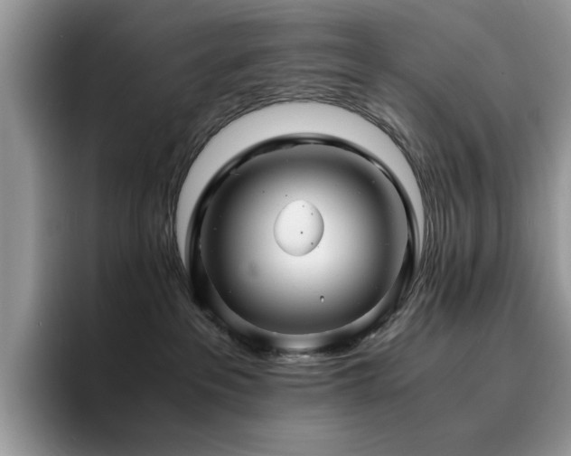 X0000094950237200711291420