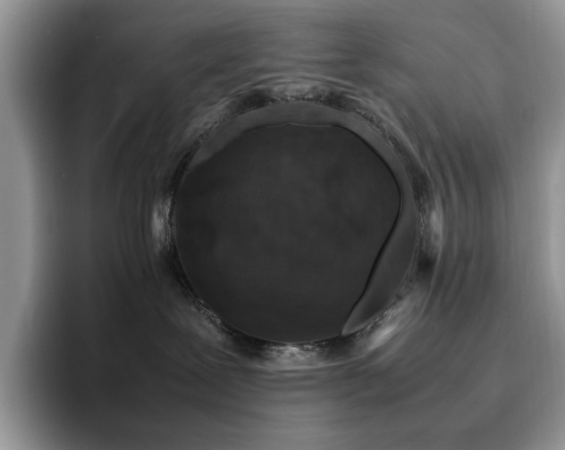 X0000094950239200711291419