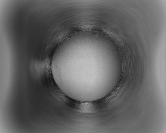 X0000094950240200711291419