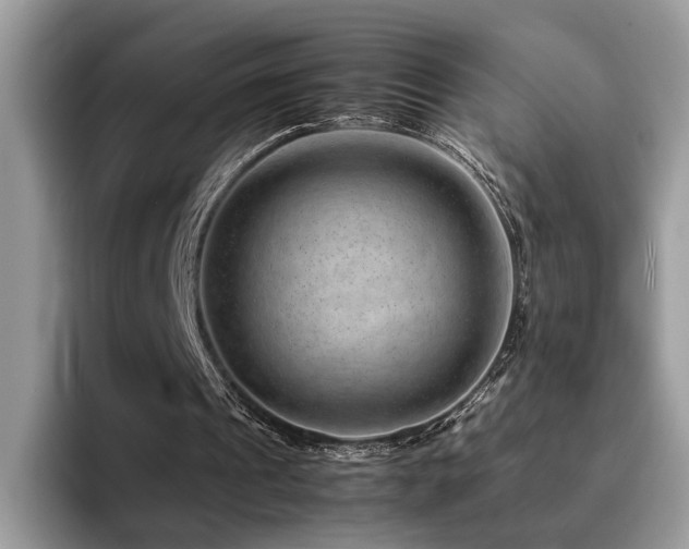 X0000094950241200711291419