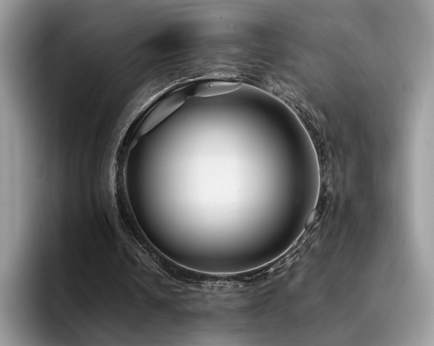 X0000094950242200711291419