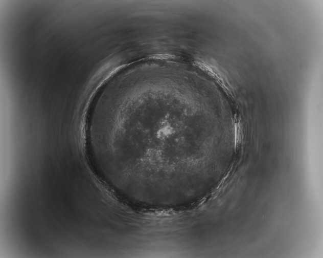 X0000094950243200711291419