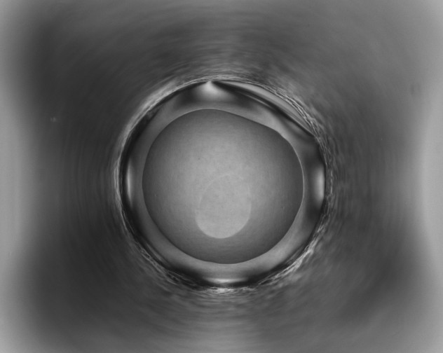 X0000094950244200711291419