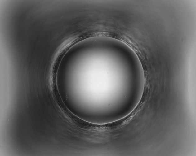 X0000094950245200711291419