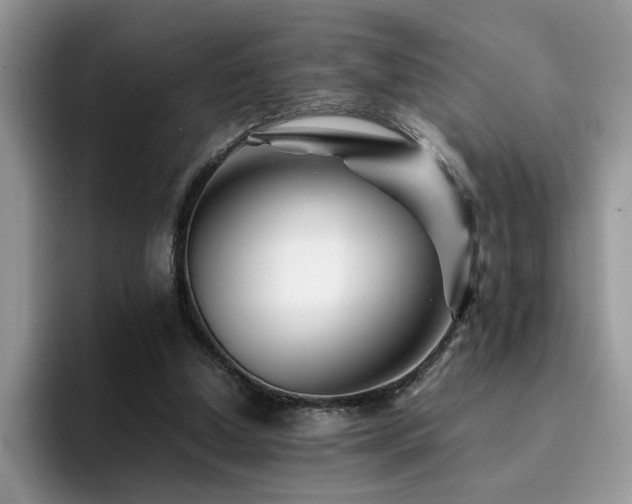 X0000094950250200711291419