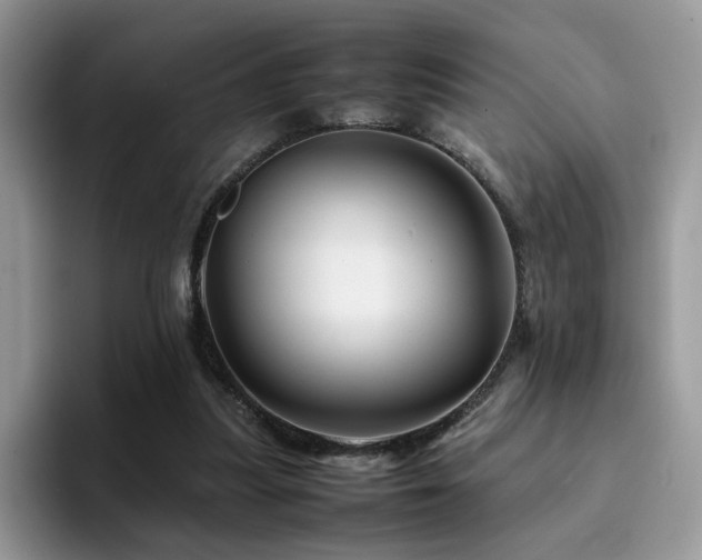 X0000094950251200711291419