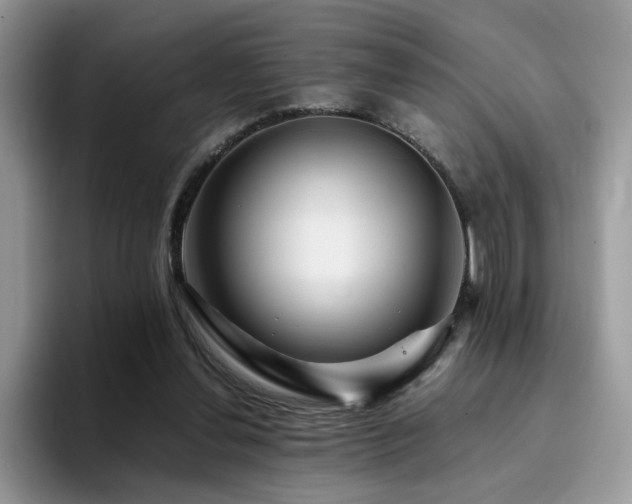 X0000094950252200711291419