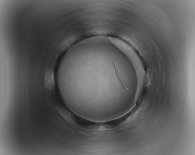 X0000094950254200711291419