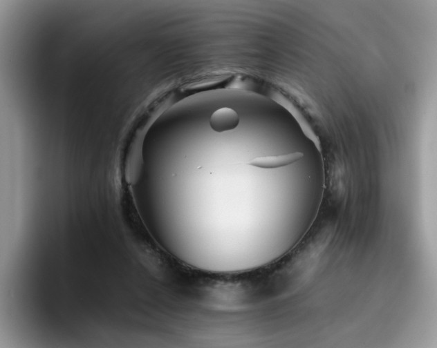 X0000094950256200711291419