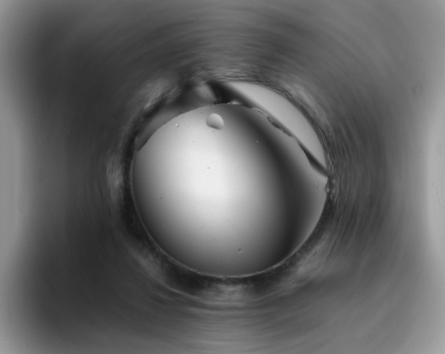 X0000094950260200711291419