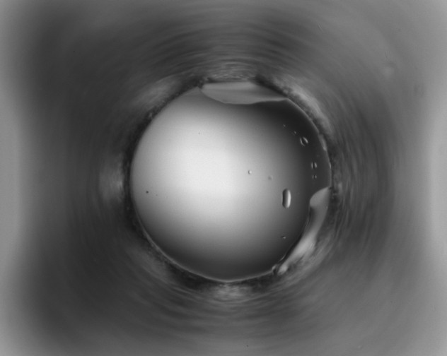 X0000094950261200711291419