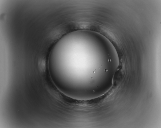 X0000094950262200711291419