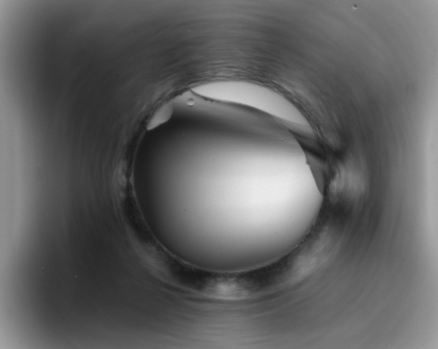 X0000094950264200711291419