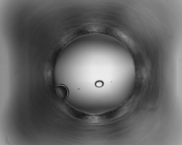 X0000094950265200711291419