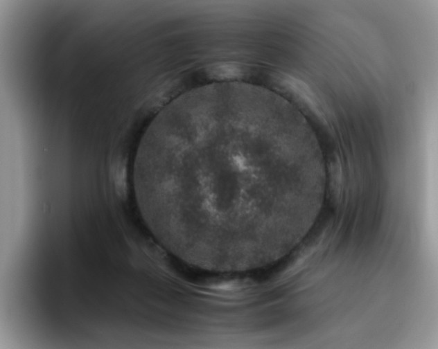 X0000094950267200711291419