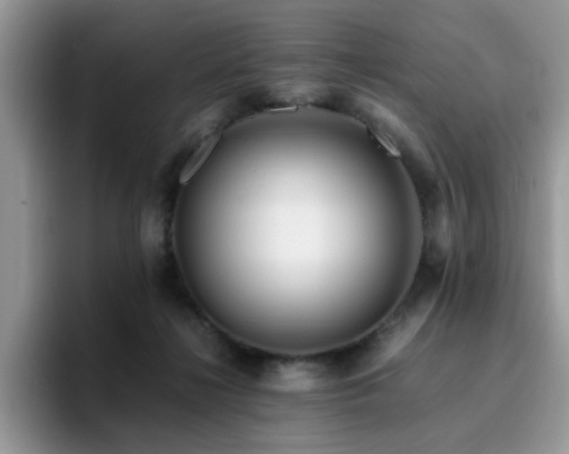 X0000094950268200711291419