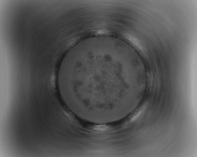 X0000094950269200711291419