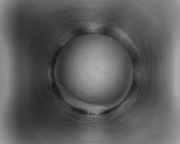 X0000094950270200711291419