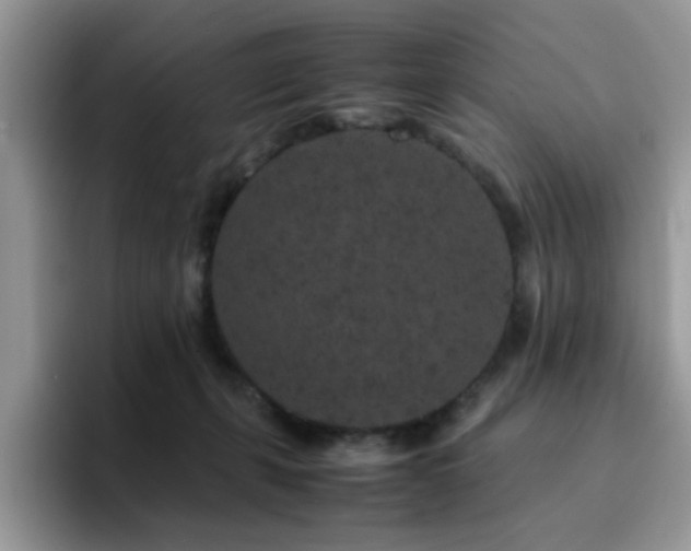 X0000094950271200711291419