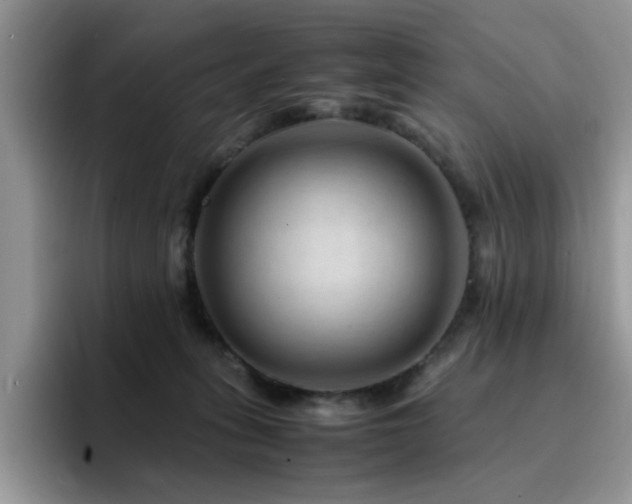 X0000094950275200711291419