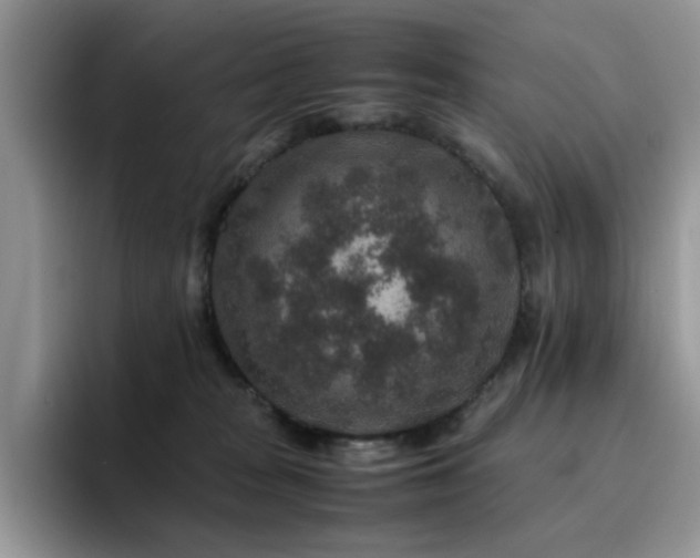 X0000094950277200711291419