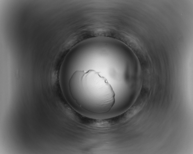 X0000094950278200711291419