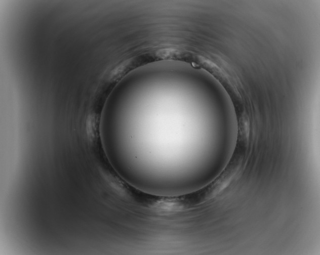 X0000094950280200711291419