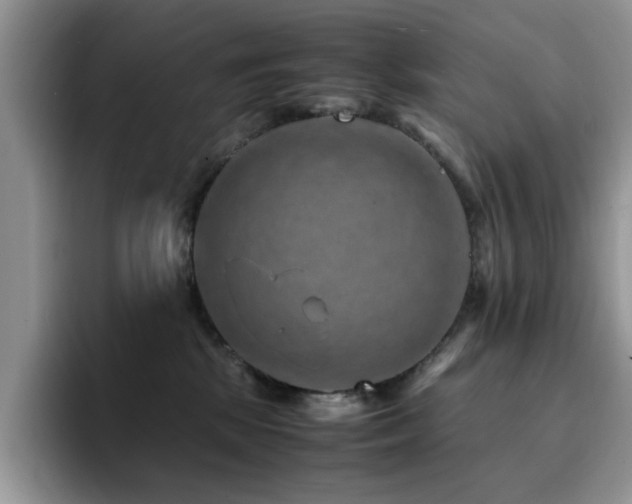 X0000094950281200711291419