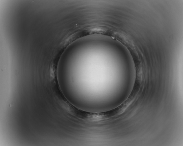 X0000094950282200711291419