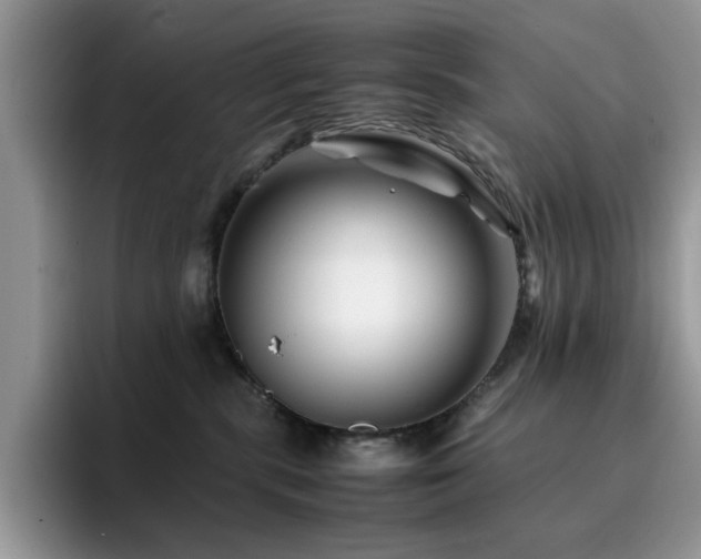 X0000094950283200711291419