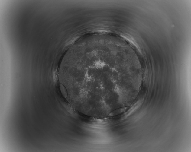 X0000094950285200711291419