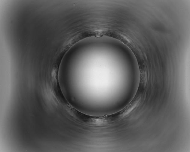 X0000094950286200711291419