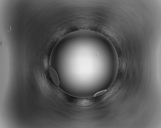 X0000094950287200711291419