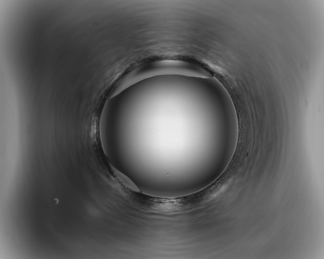 X0000094950288200711291419