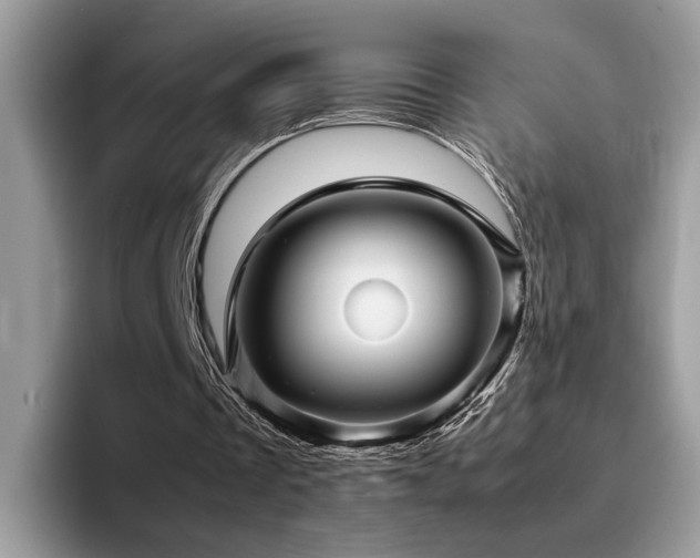 X0000094950289200711291419