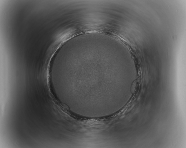 X0000094950290200711291419