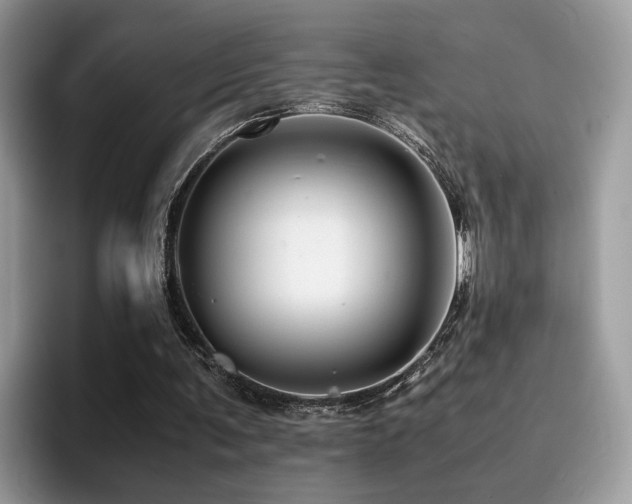 X0000094950291200711291419