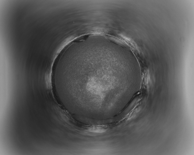 X0000094950292200711291419