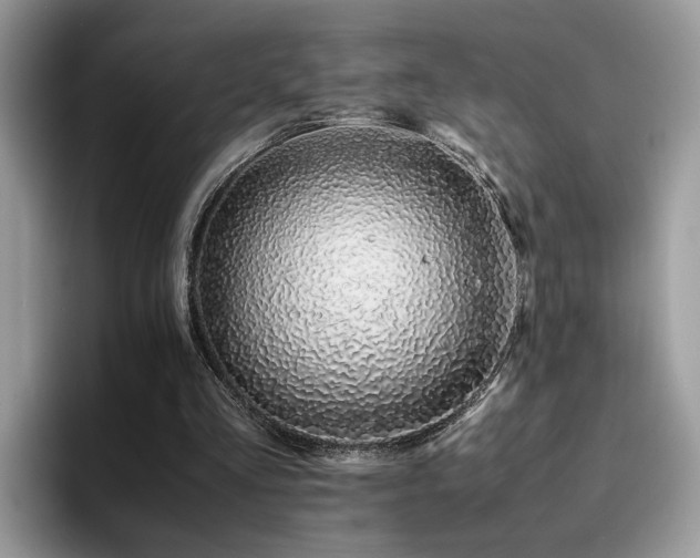 X0000094950293200711291419