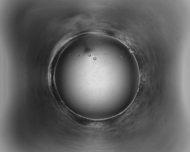 X0000094950294200711291419