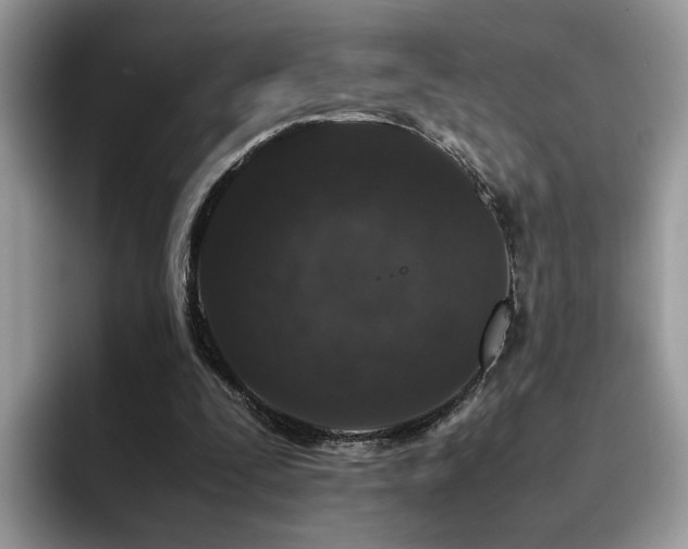 X0000094950295200711291419